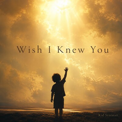 Wish I Knew You cover art